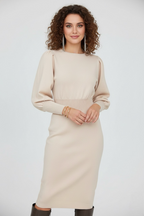 Long Sleeve Pencil Midi Dress For Women