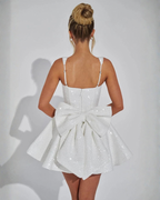 Fit and Flare Sleeveless Mini Dress