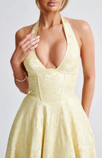 Plunge Neck Sleeveless Full Skirt Dress