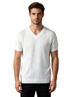 Men's Stripe Detail V Neck Tee