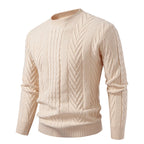 Men's Patterned Crewneck Sweater Long Sleeve Ribbed Hem