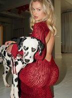 Women's Animal Print Fitted Maxi Dress Long Sleeve Open Back