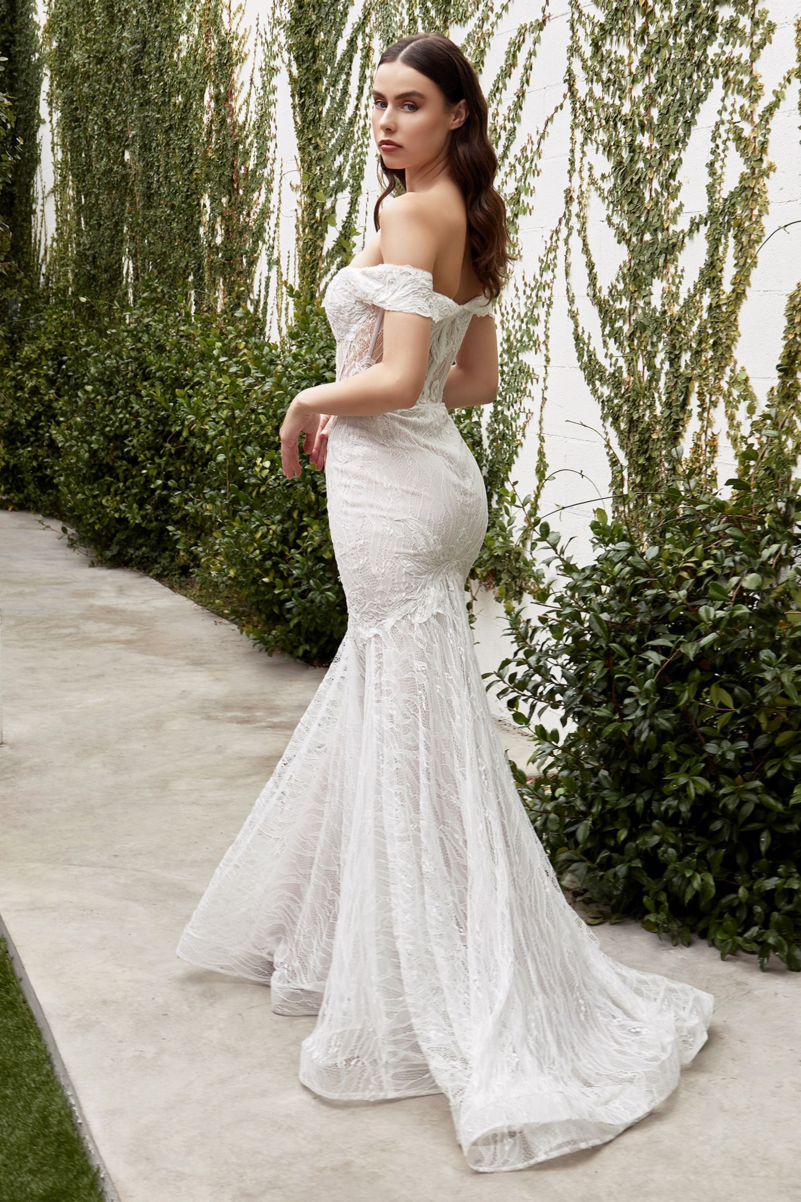 Lace Corset Mermaid Maxi Dress Women