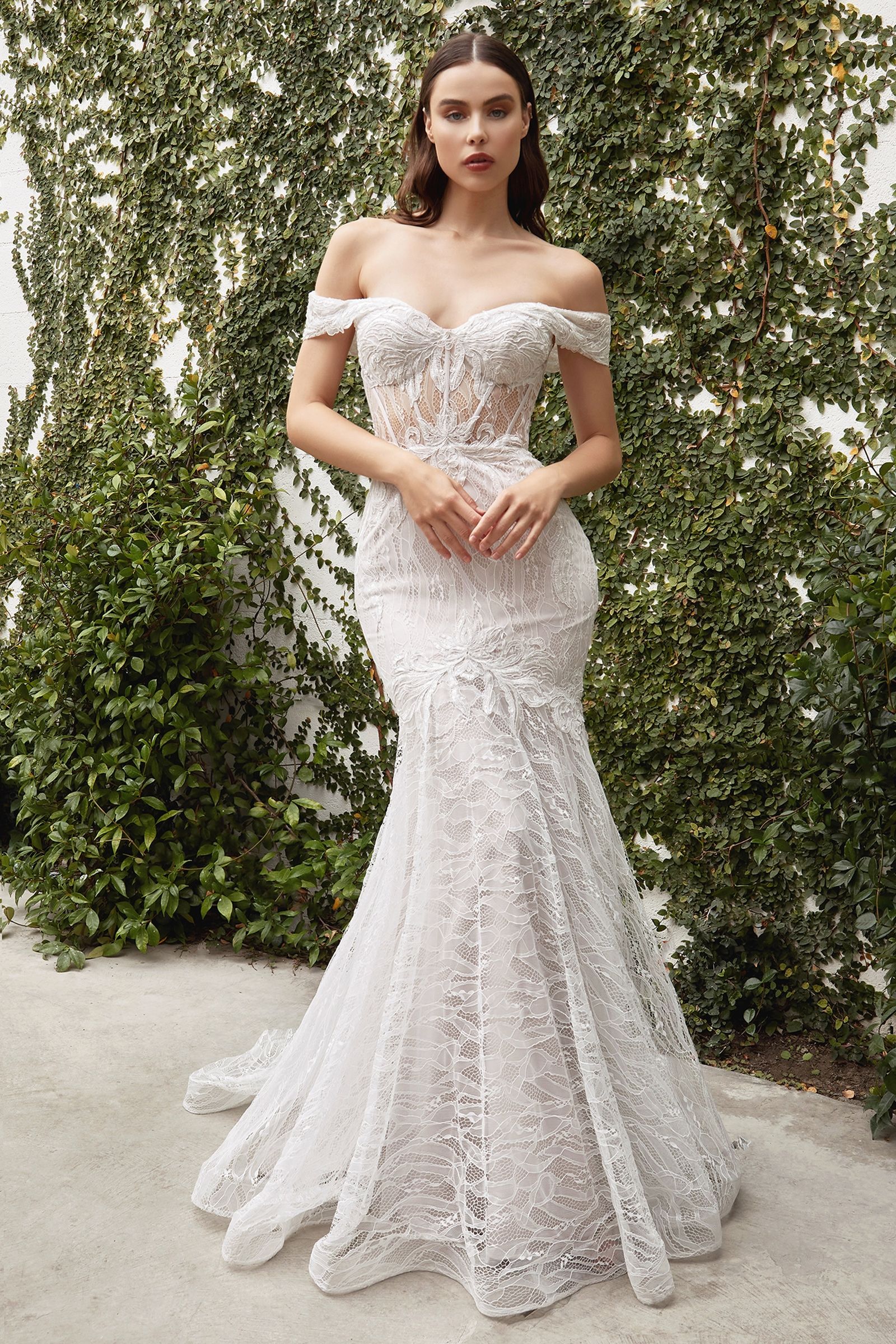 Lace Corset Mermaid Maxi Dress Women